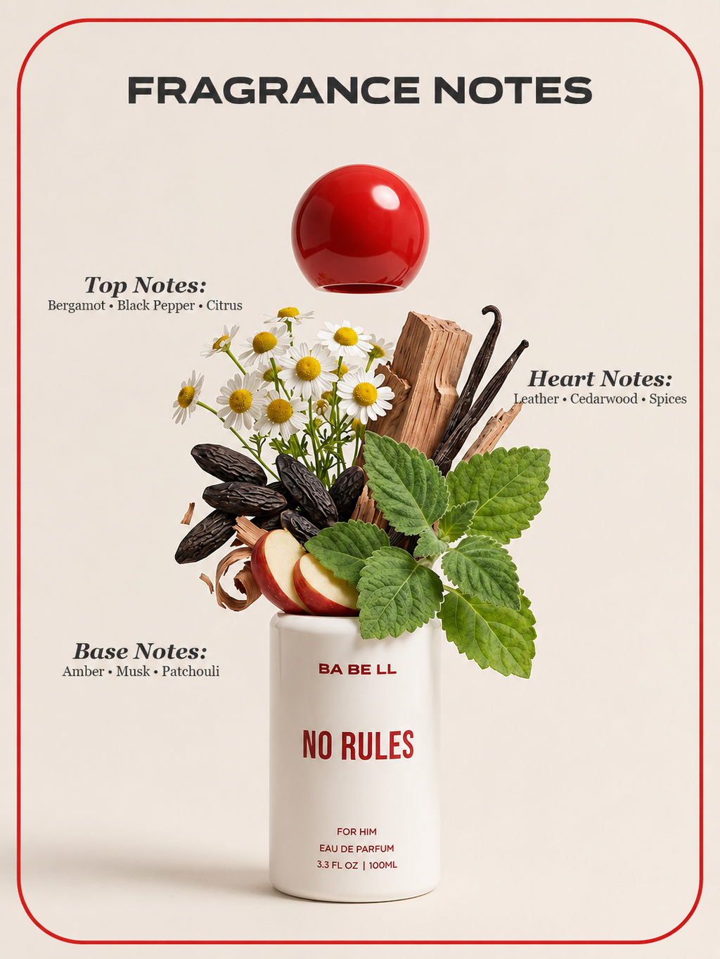 No Rules | For Him